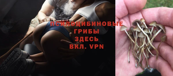 MESCALINE Магас